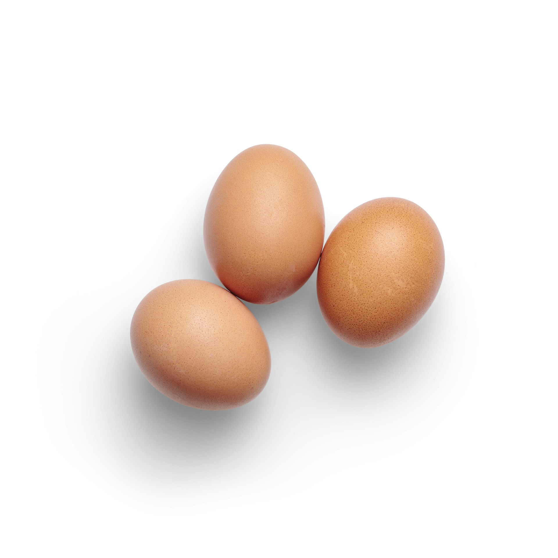 Fresh brown eggs