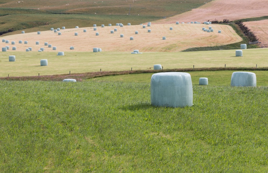 Rolling green hills and hay bales, Otago farmland