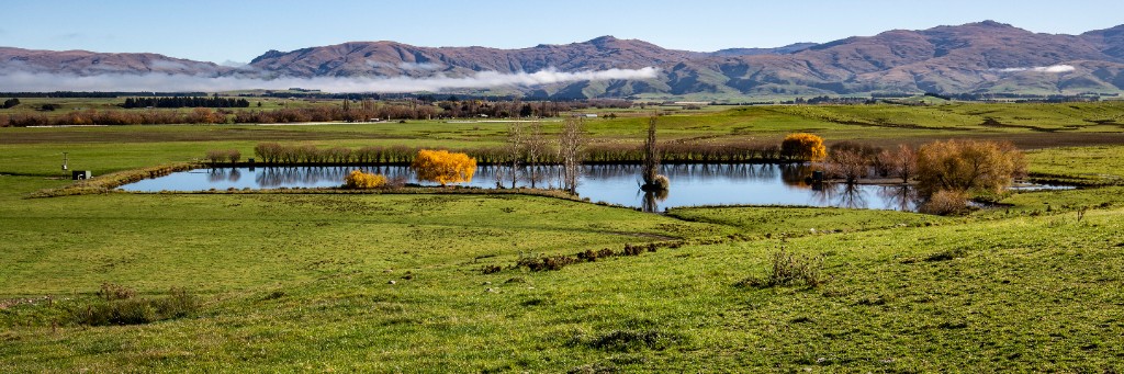 Green valley with pond and morning mist, Otago